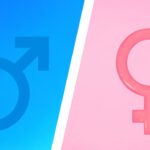 Boy Girl Gender